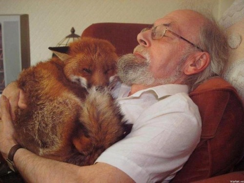 XXX ydrill:  Mike Trowler and the fox he saved photo