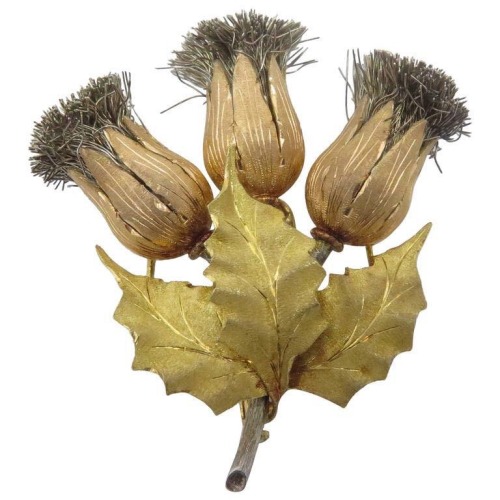 Thistle …the guardian protector “The thistle is a prince. Let any man that has an eye f