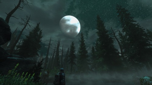 belmontswhip: midnight adventures in Falkreath Hold