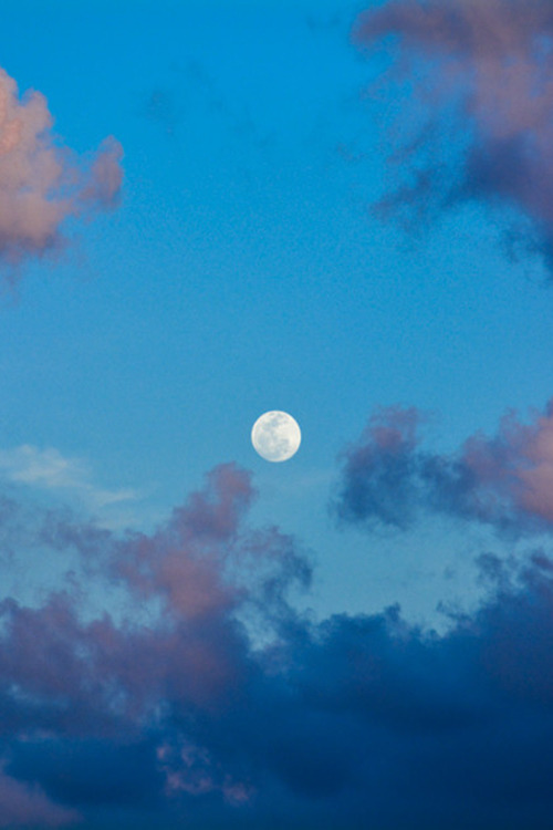 c1tylight5:  Full moon | lizfortie