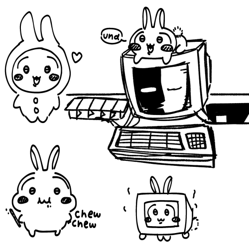 Usagi