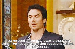 salvatore-vampire:  Ian Somerhalder on Live! with Kelly and Michael (October 17,