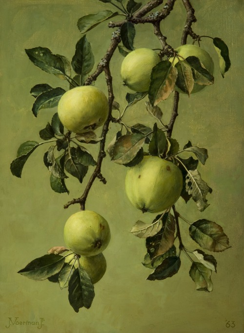 art-and-things-of-beauty - Apples, oil on canvas by Jan Voerman jr...