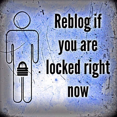 chastehubbie-blog: lockedinpland: jackeee111: slaveis247: Happy to be :) I am I am locked Yup! Hones