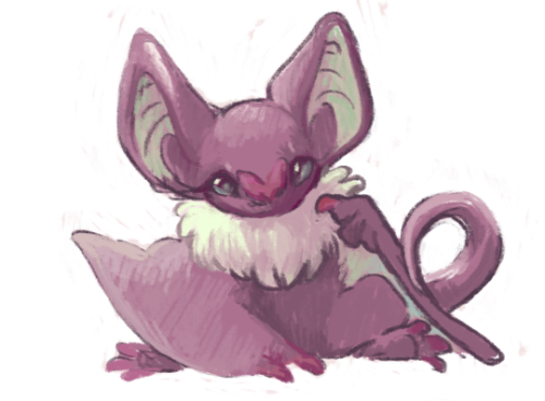 noivern:  smal bat child