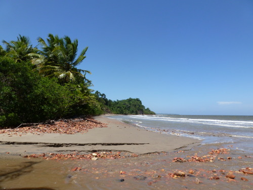 Trinidad and Tobago