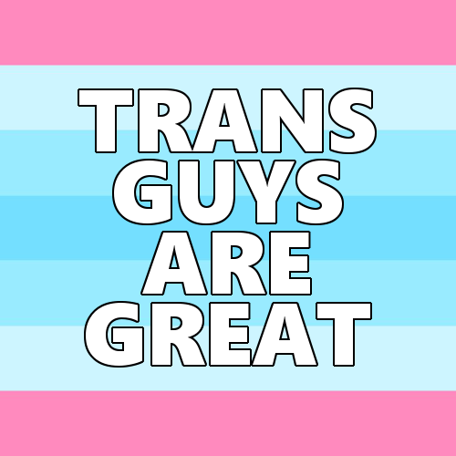 queerlection:[Image description - Images of a transmasculine pride flag with the text: Transmasc peo