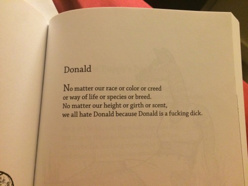 likeapictureiwasoverexposed: How did Bo Burnham know Donald Trump would run for president…??!