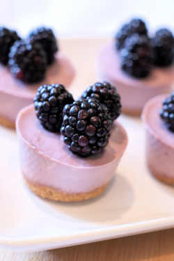 vegan-yums:     vegan mini berry cheesecakes