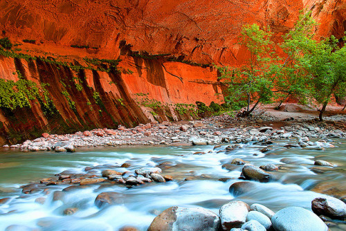 Zion Narrows by mrwsierra on Flickr.