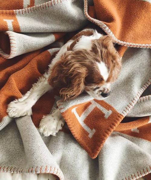Reblogged this from prettystuff.tumblr.com post 167325787172 tumblr_oz6lvbcPxI1qarjkmo1_1280