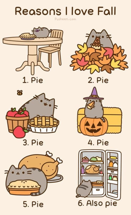 reasonsfortheseason:Cats and pie