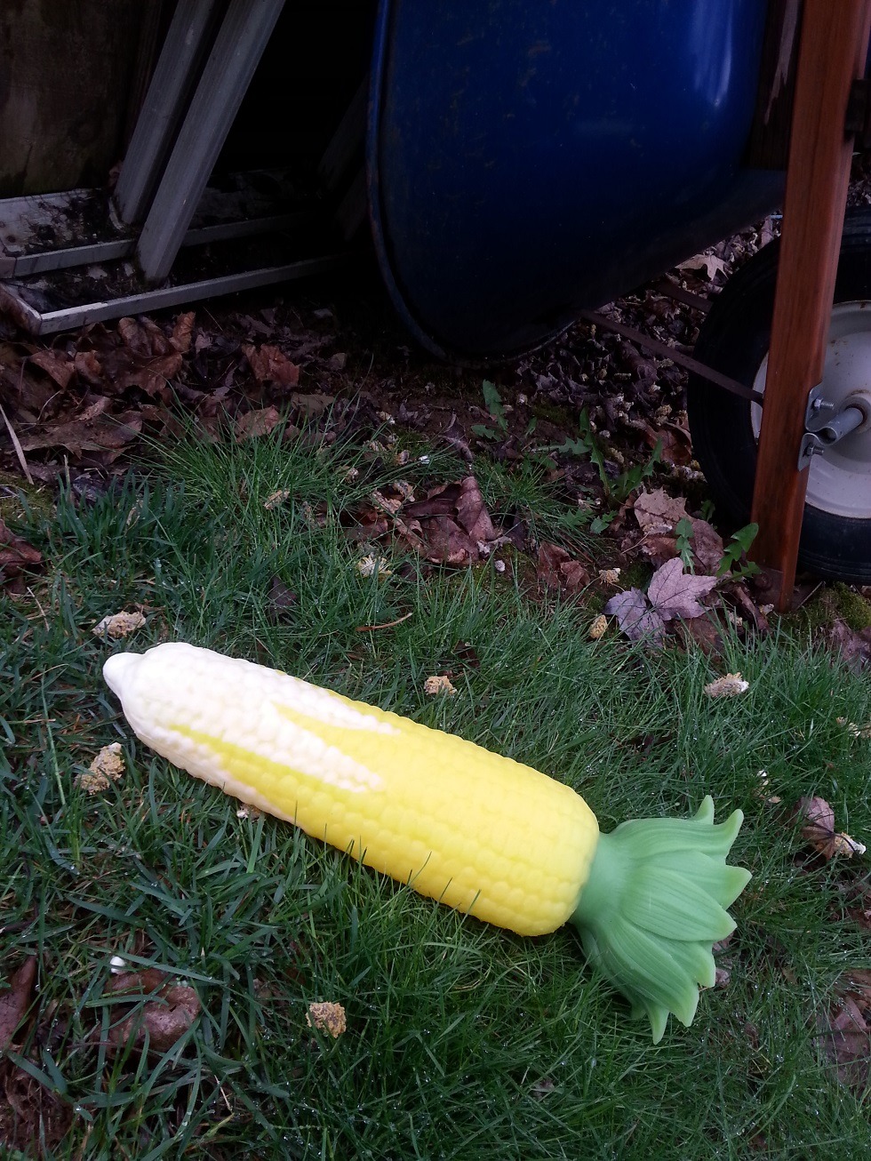 house-of-cum-guzzler: That’s one hell of a harvest!  Meet the @exotic-erotics