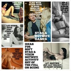 hotwivesandgames:  IDEAL GAMES FOR THOSE STARTING TO EXPERIMENT WITH THE STAG AND VIXEN LIFESTYLE 👍 
