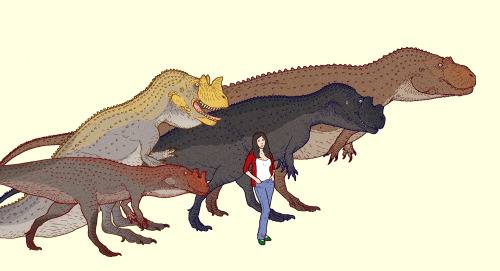 cmkosemenillustrated:Various species of Ceratosaurus in scale with a human being. From the right to 