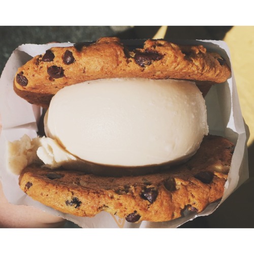 XXX vegan-yogi:  💕 vegan ice cream sandwich photo