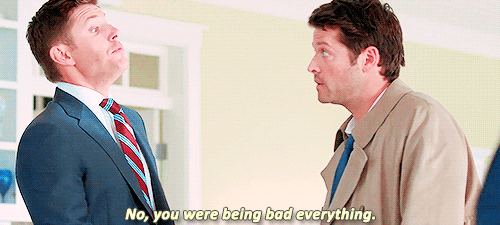 constiellation: Favourite Dean/Cas moments ~ 8x08 “Hunteri Heroici”“What? I