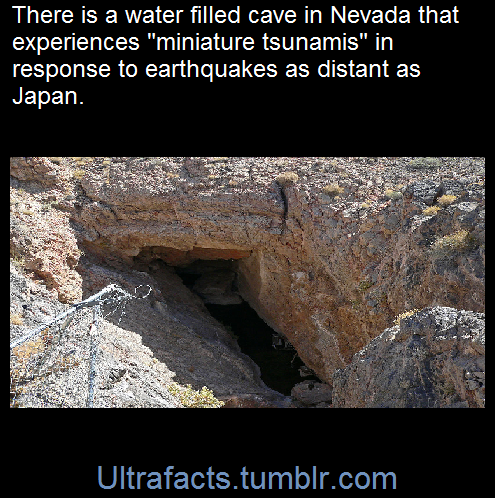 Porn photo ultrafacts:    Devils Hole–a detached unit