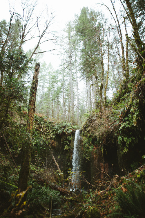 millivedder:  Crescent Falls, Tahuya WA