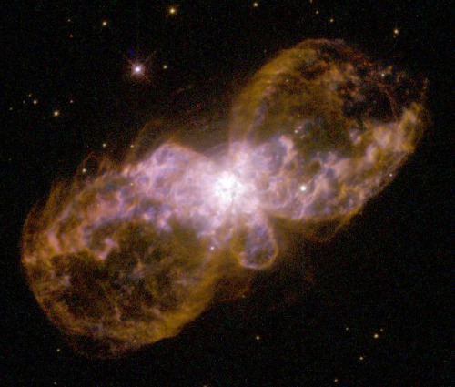 anightintheforest:  infinity-imagined:  A collection of planetary nebulae; clouds of ionized gas that form as red giant stars die and cast off their outer layers.  This process enriches interstellar space with heavy elements that go on to form new stars