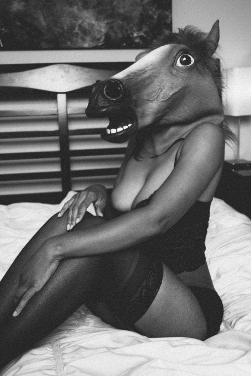 xovisuals:  Muse: undisclosed
