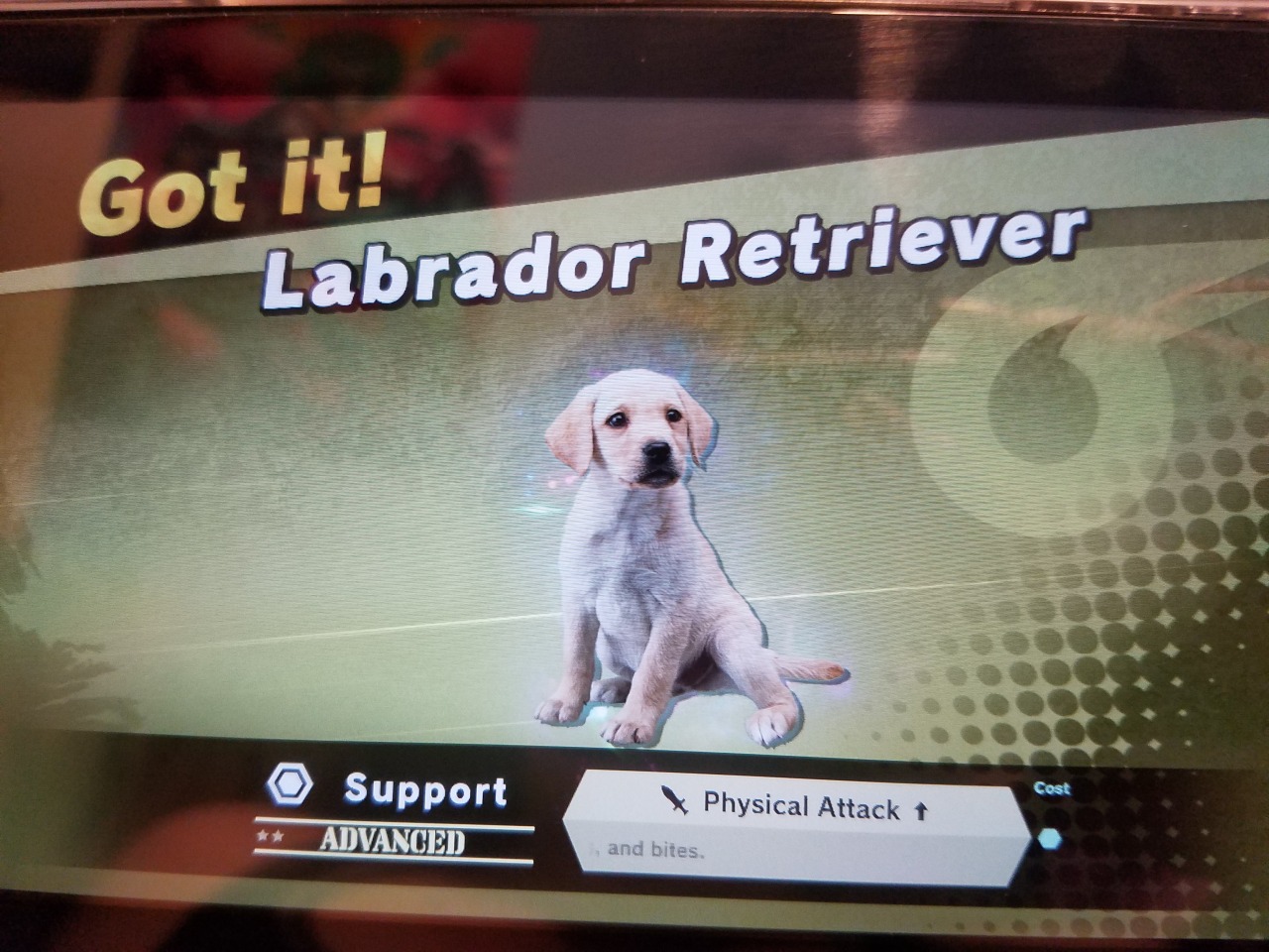 terramythos: This is so fucking funny they just used a picture of a dog?? It’s