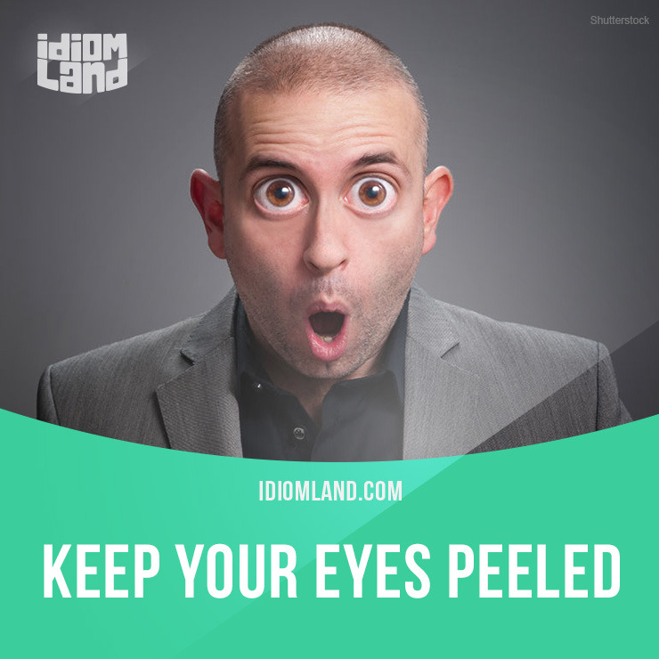 Idiom Land — “keep Your Eyes Peeled” Means “to Watch Very