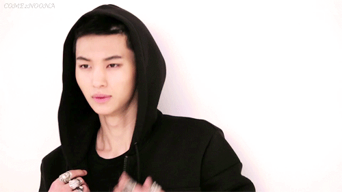 COUGAR NOONA