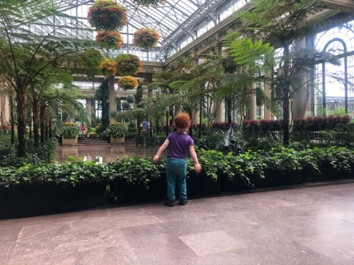 Beautiful wide open spaces in Longwood Gardens, PA were perfect for Little One to run around and exp