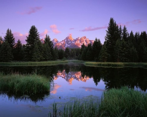 alexburkephoto: Purple mountains reflect on a perfectly calm June morning. (at Grand Teton National 