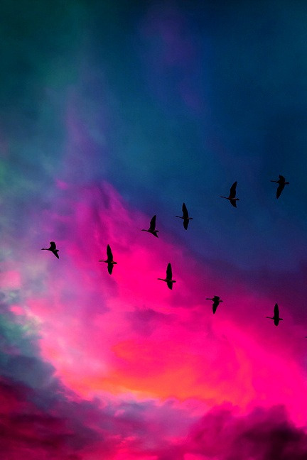digimikko:  Had to share this @WeHeartIt http://weheartit.com/entry/188733853/via/digimi
