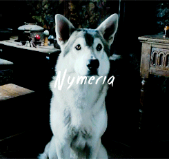 dreamofspring: got meme | ½ Creatures ◦ Direwolves Their voices echoed through
