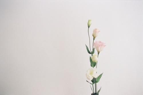 slanting:  (by _mayxxx_) 