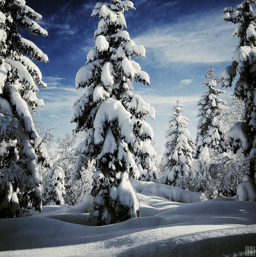 odditiesoflife:  Winter Wonderland Winter can be as beautiful as it is frigid –