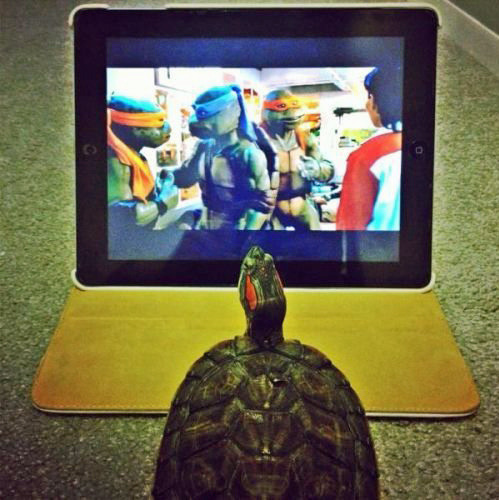tastefullyoffensive:  Role models. [x]