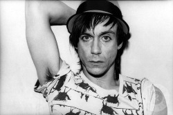 icky-pop:  Iggy Pop