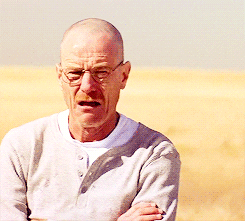 ipreferthemgay:Breaking Bad 2.09 “4 Days Out” - Walter questions Jesse’s lifechoices.