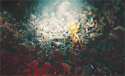 delasazores:  paquidermomulticolor:  namor:Ant-Man’s new trailer.  uy uy uy que