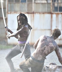 lerageshirts:  I’m glad Rick decided to bring Michonne with him on Sunday’s new episode. I’m excited to see her chop off some more zombie heads. :-) 