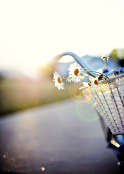 Sweet Escape