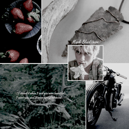 theresaherondalecarstairss: They broke apart. Kieran touched his mouth; there was blood on his lip