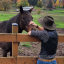 ahorsebyanyothername