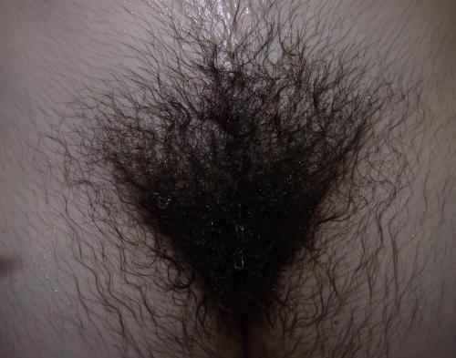 freefish54:  emeenes:  “show” 2/2  wowwwwwwwww 