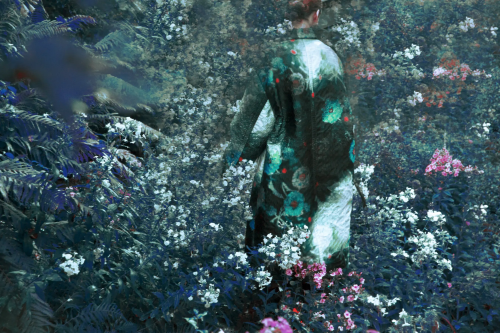 “The Garden is a modern fairy tale woven together by Heck’s photographs and poetry he wrote followin