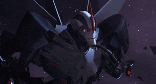 How Would Tfp Cons React To Their Human Female S/o Got Captured By Airachnid?