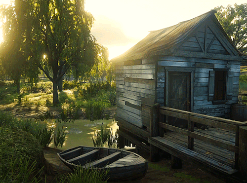 wintersongstress: RED DEAD REDEMPTION II  • scenery [68/?] — Sunup at Stillwater Cre