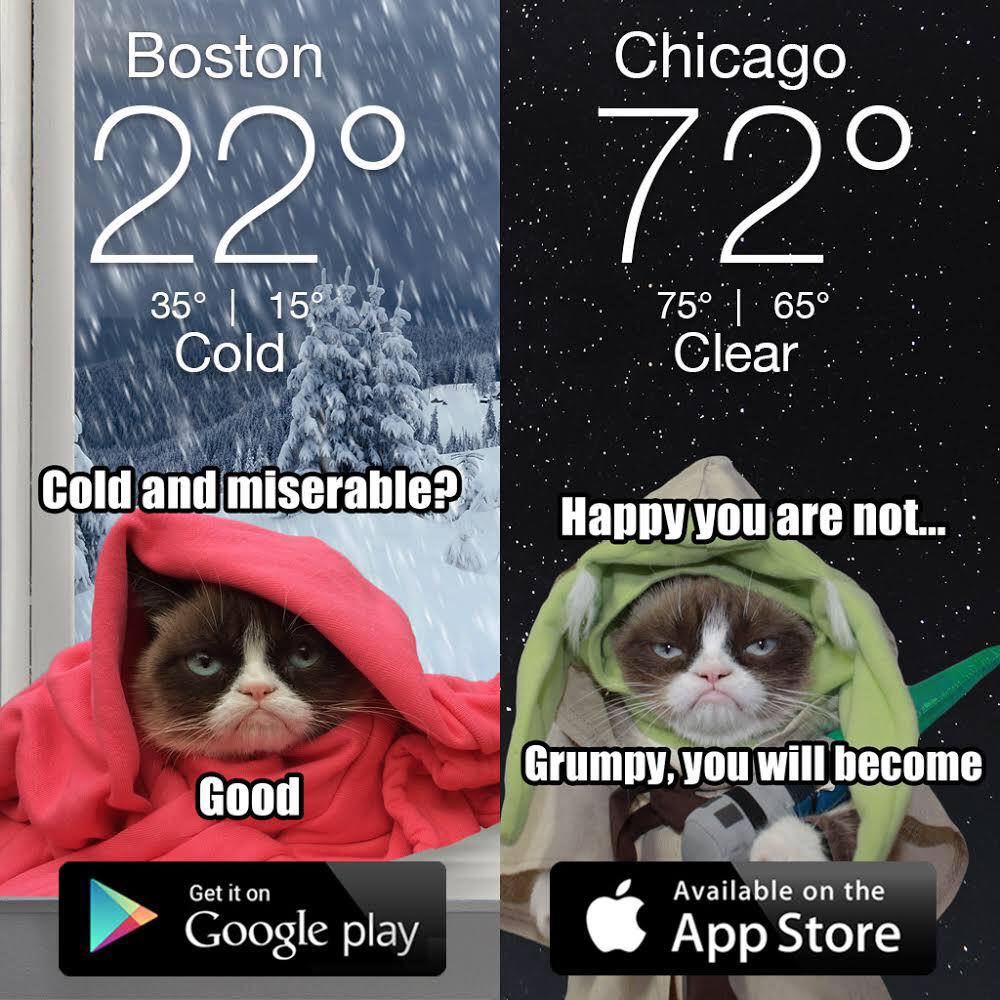 ‪I checked The Weather Once. ‬ 
‪It Was Awful. ‬ 
‪Grumpy Cat Weather FREE with Brand New Pictures & Memes Out Now for iPhone &...