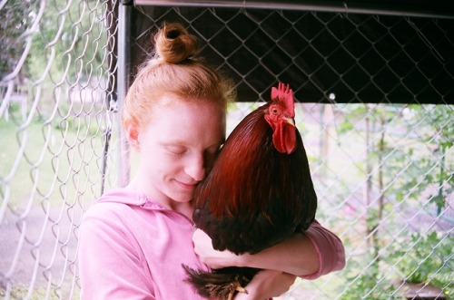 Coco & Chester the Rooster by Joshua on 35 mm film 