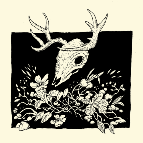 thestrangeforest:Antlers by Strangeforest