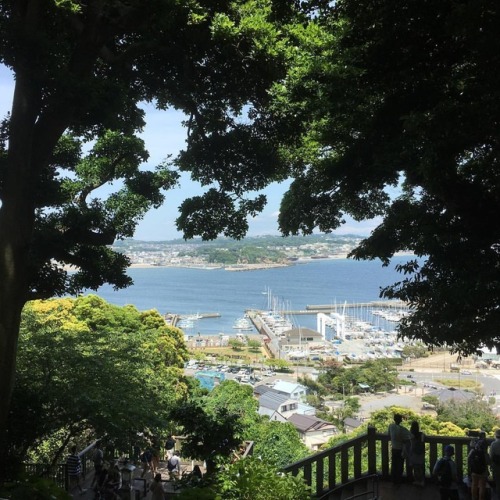 Enoshima #lovejapanese #lovejapan #enoshima #smallisland #islandinjapan